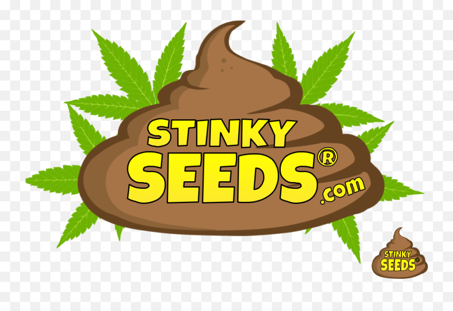 Bruce Banner U2013 Feminized Stinky Seeds - Chocolate Png,Bruce Banner Png