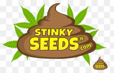 Bruce Banner U2013 Feminized Stinky Seeds - Chocolate Png,Bruce Banner Png