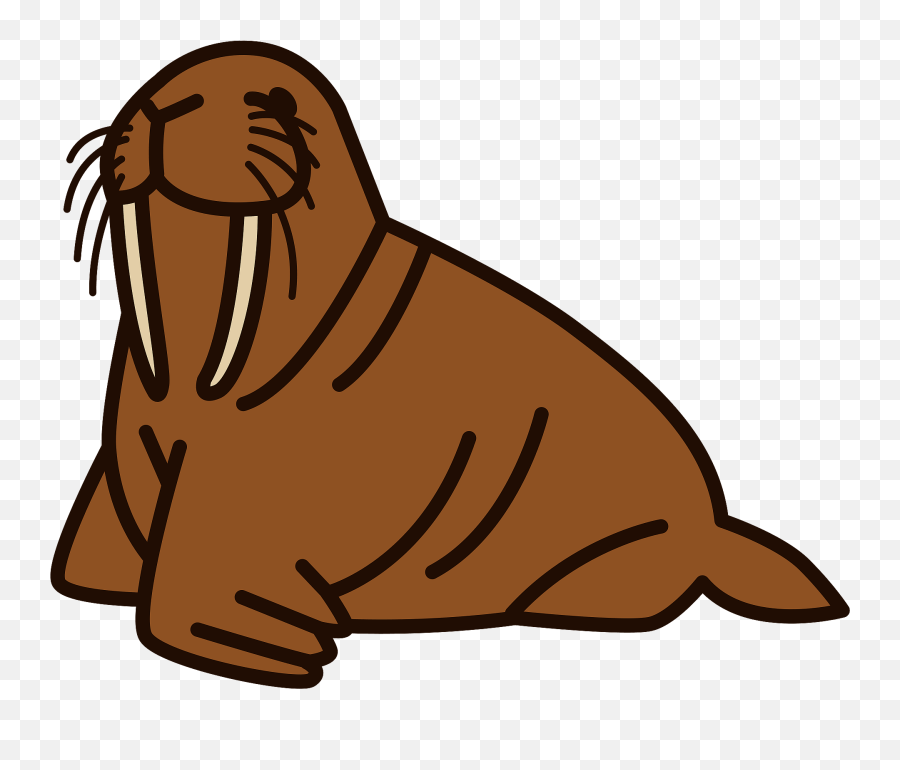 Walrus Clipart Free Download Transparent Png Creazilla