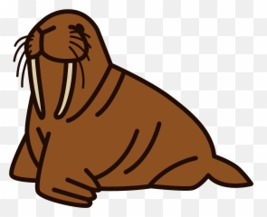 Walrus Clipart Free Download Transparent Png Creazilla