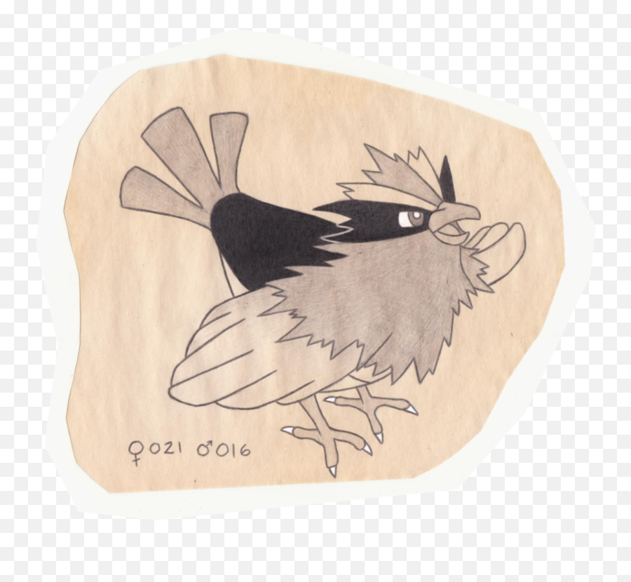The Pokemon Ornithologist U2014 Spearow - Tiny Bird Pokemon Illustration Png,Pidgey Png