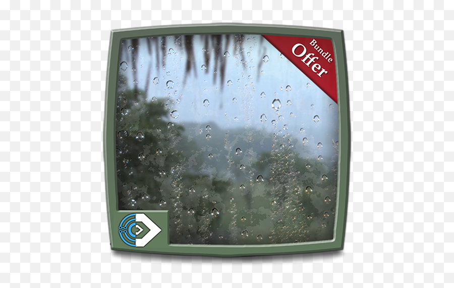 Amazoncom Jungle Rainy Drops - Feel The Romantic Rainy Picture Frame Png,Rain On Window Png