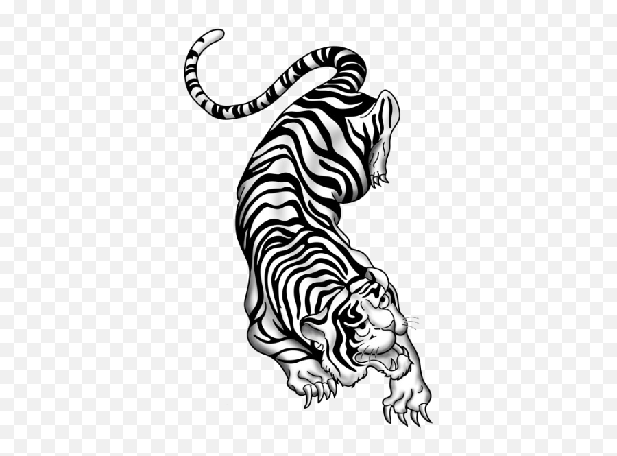 White Tiger Cut Out Png - 19326 Transparentpng Chinese Tiger Tattoo,White Tiger Png