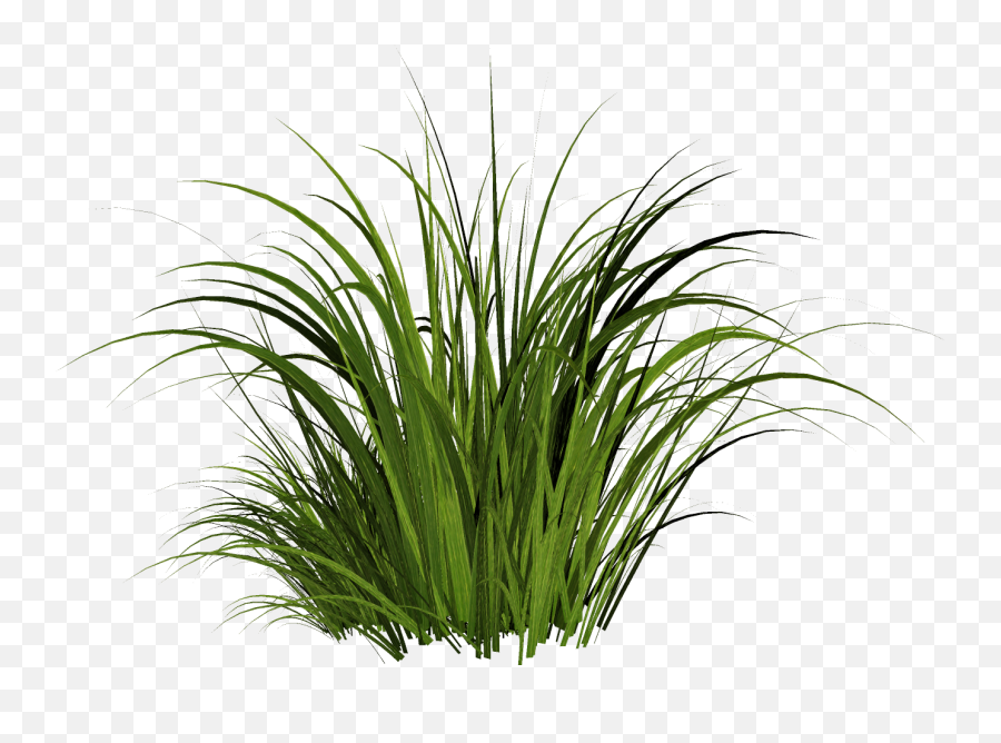 Solved The Material Is Grass - Autodesk Community Stingray Tall Grass Png,Transparent Texture Png