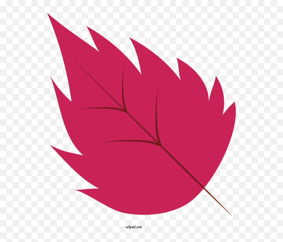 Nature Maple Leaf Symmetry For - Leaf Clipart Red Maple Png,Maple Leaf Transparent