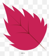 Nature Maple Leaf Symmetry For - Clipart Red png