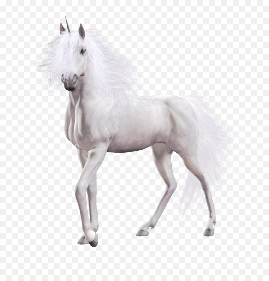 Unicorn Png Image - Purepng Free Transparent Cc0 Png Image White Horse Png Hd,Transparent Unicorn