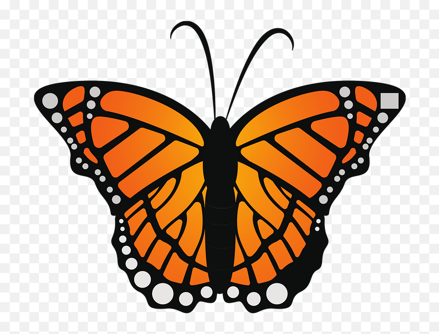 Butterfly Monarch Insect - Free Image On Pixabay Viceroy Png,Monarch Butterfly Icon