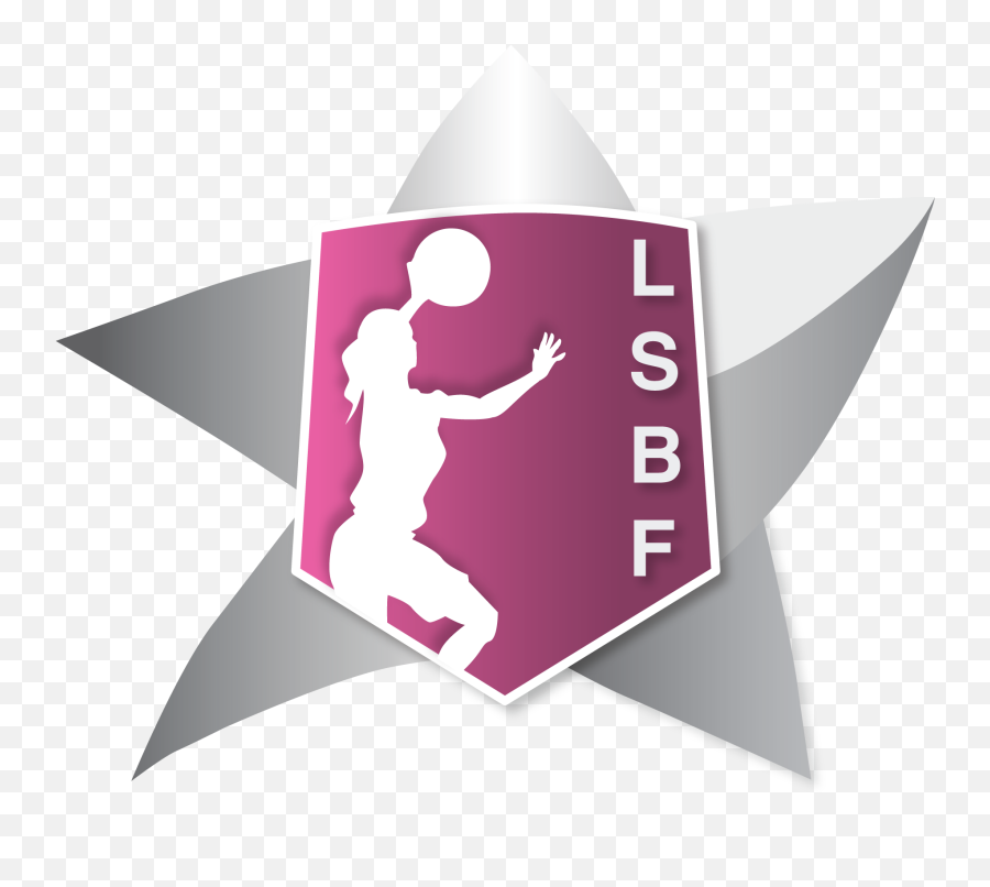 Sanctions - Liga Sudamericana De Clubes Femeninos Png,Fiba Icon