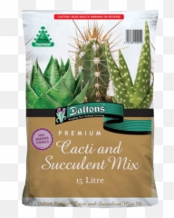 Daltons Premium Cacti And Succulent Mix - Daltons Png,Cacti Png