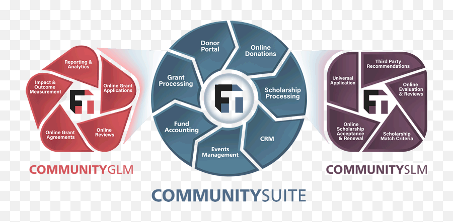 Online Community Foundation Software Foundant Technologies - Language Png,Accounting System Icon