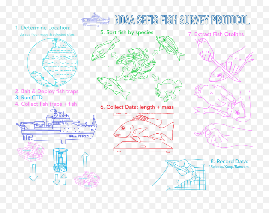 Noaa Ship Pisces U2013 Teacher - Drawing Png,Groove Explorer Icon Overlay