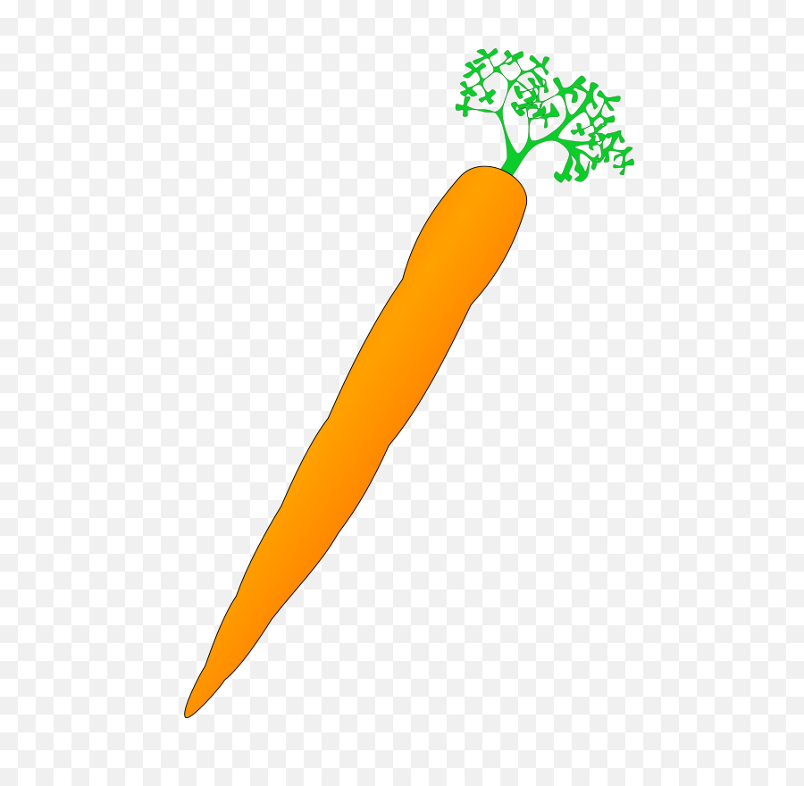 Download Carrot Nose Vegetable Drawing Computer Icons Free - Carrot Clip Art Png,Carrot Transparent Background