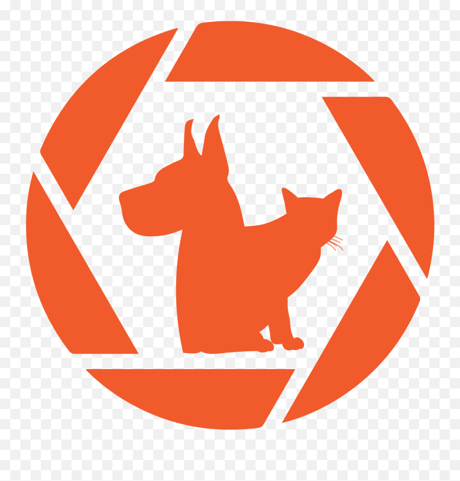 Animal Behavior Focus Certified Dog Consultant - Camera Shutter Clipart Png,Behavior Icon Png