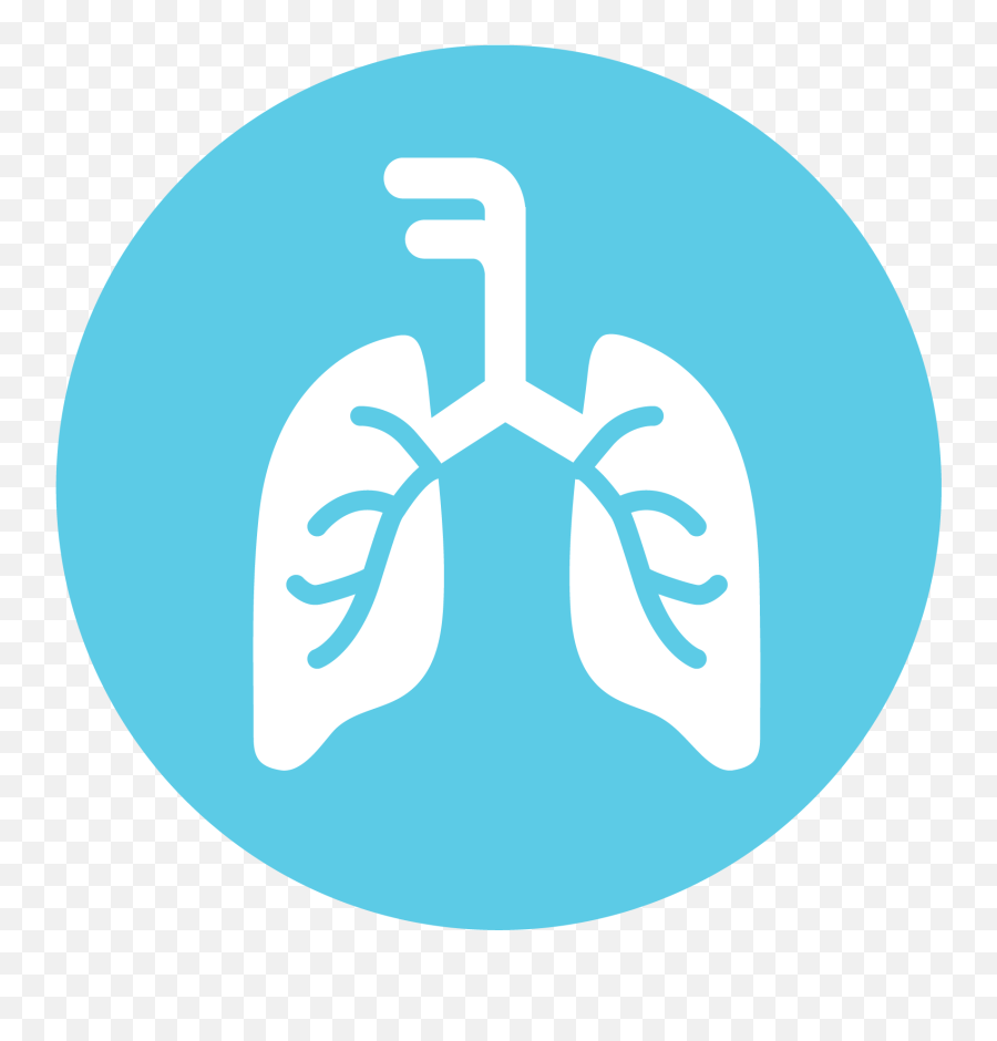 Foundation For Jewish Camp Checklist Computer Icons - New Upper Respiratory Tract Infection Icon Png,Computer Application Icon