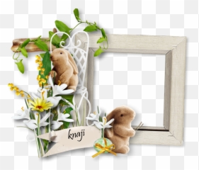 Picture Frame Png