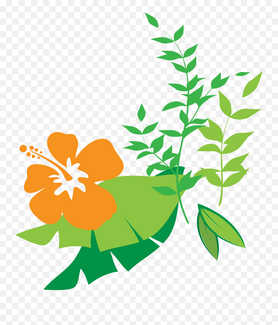Free Hibiscus Flower 1190721 Png With Transparent - Clipart Wooden Board Png,Hibiscus Icon