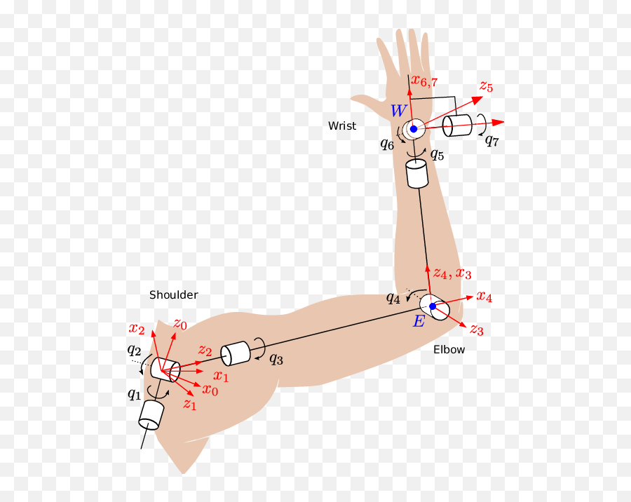 Kinematic Model Of The Human Arm Download Scientific Diagram - Human Arm Kinematic Model Png,Cartoon Arm Png