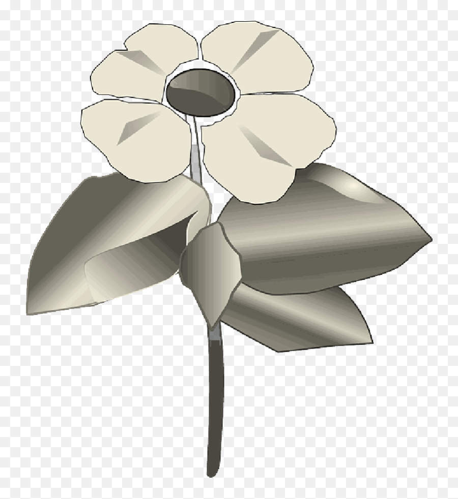 Flower Cartoon Plant Pacific Leaves Floral - Public Dogwood Png,Flower Cartoon Png