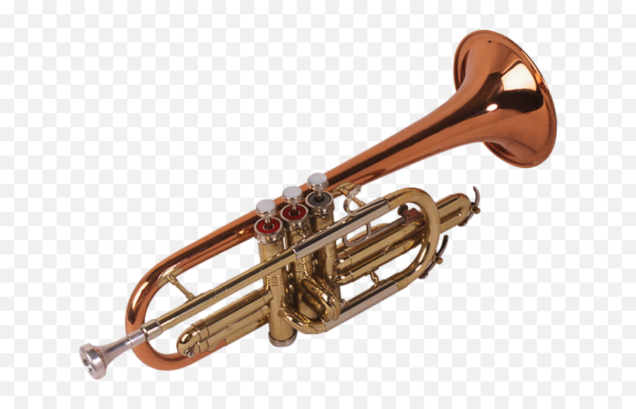 Download Trumpet Png Image With No Background - Pngkeycom Tuba Trombone Brass Instruments,Trumpet Transparent