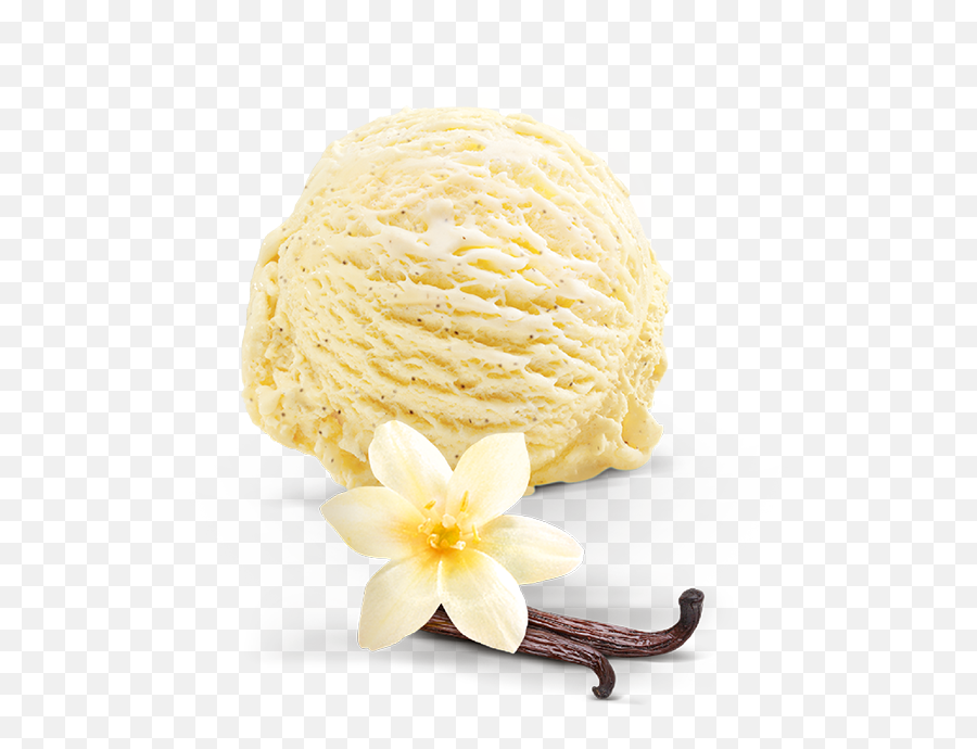 Vanilla Ice Cream Png Pic All - Artificial Flower,Vanilla Png