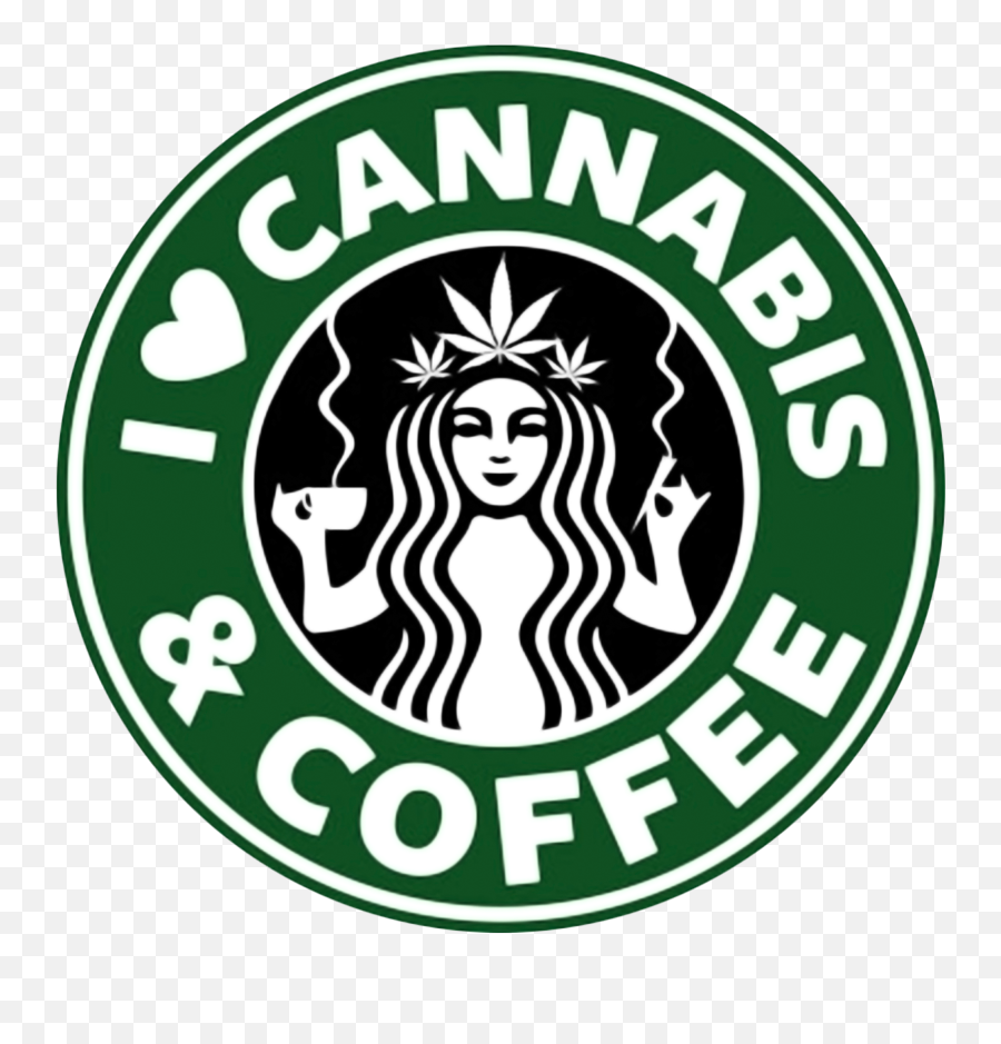 Homer Glen Coffee Starbucks Logo Cafe - Starbucks Logo Buzz Png,Starbucks Logo Png