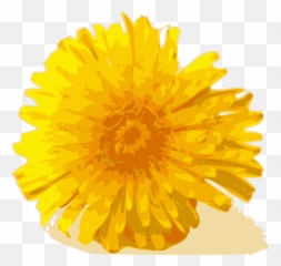 Dandelion Clip Art - Vector Clip Art Online Dandelion Clip Art Png,Dandelions Png