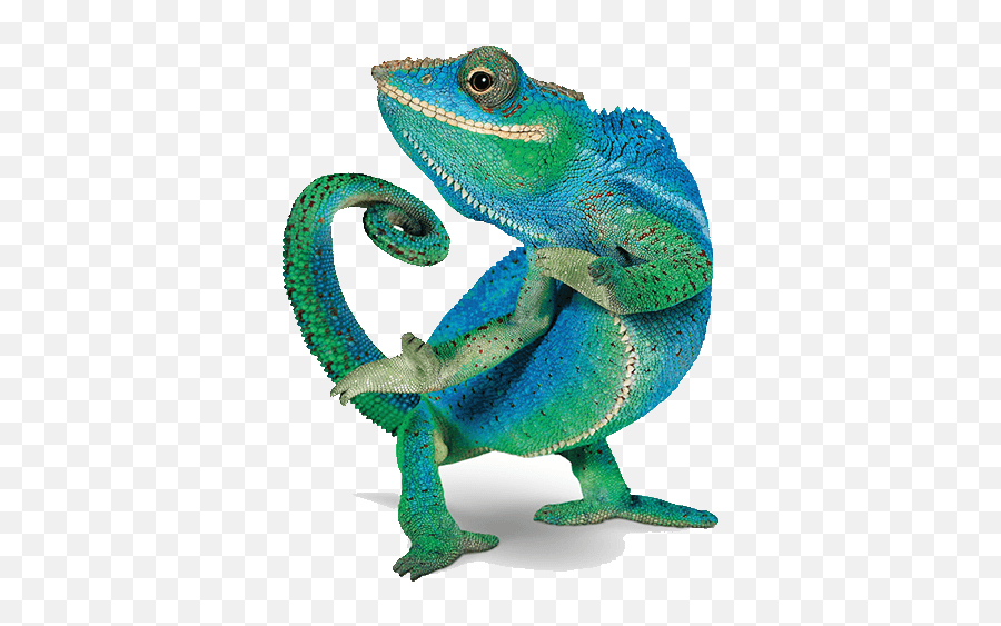 Download Telus Chameleon Png Image With No Background - Telus Lizard,Chameleon Png