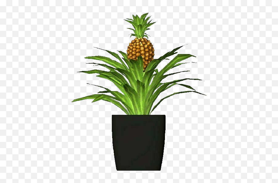 Download 3d Flowers - Ananas Png,Pineapples Png