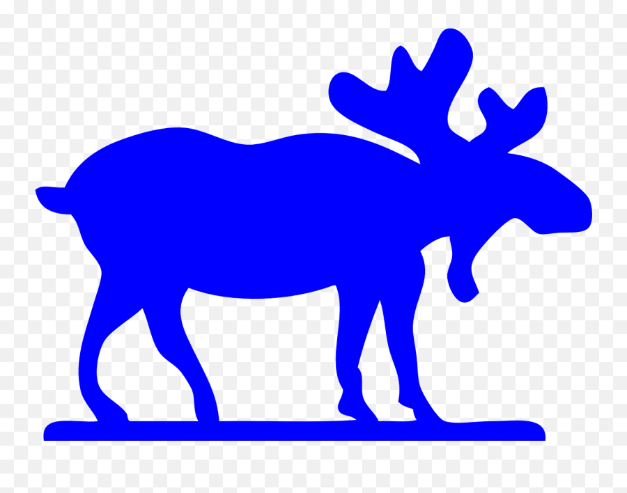 Moose Mammal Animal - Museum Frieder Burda Png,Moose Png