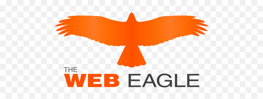 The Web Eagle - Website U0026 Graphic Design Eagle Png,Eagle Logos Images