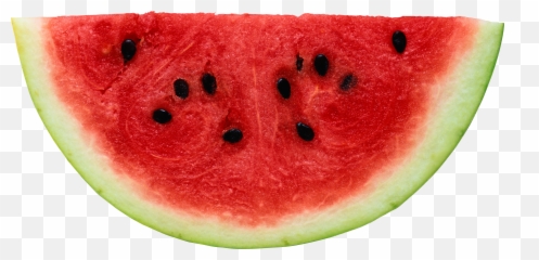 Watermelon Slice Png For Free Download - Fruit And Their Seeds,Melon Png