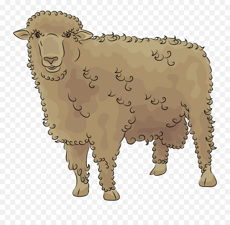Corriedale Sheep Clipart Free Download Transparent Png - Sheep Clipart,Sheep Transparent