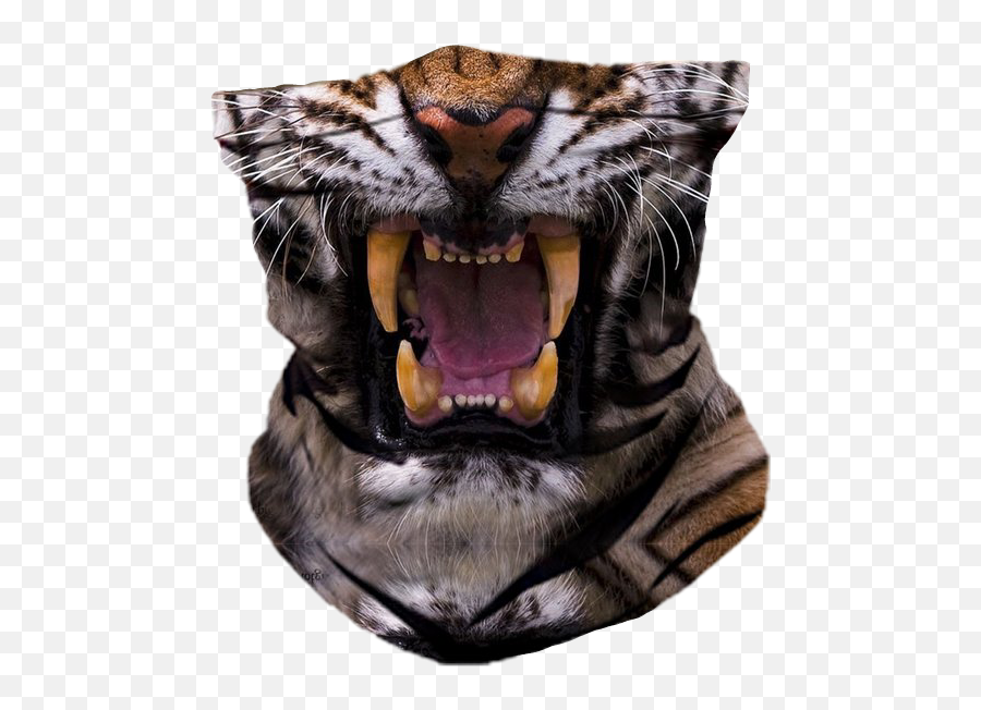 Tiger Ski Mask Png Official Psds - Tiger Eyes Mad,Ski Mask Transparent