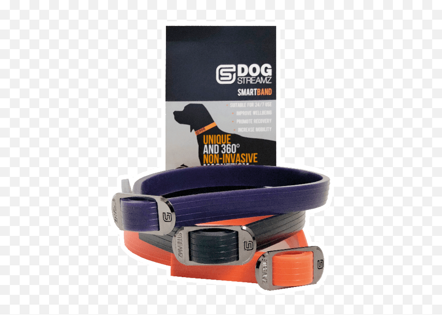 Dog Streamz Magnetic Collars Non Invasive Magnetism - Dog Streamz Magnetic Collar Png,Dog Collar Png