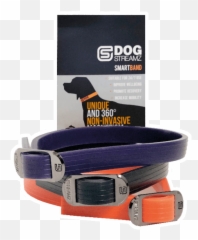 Dog Streamz Magnetic Collars Non Invasive Magnetism - Dog Streamz Magnetic Collar Png,Dog Collar Png