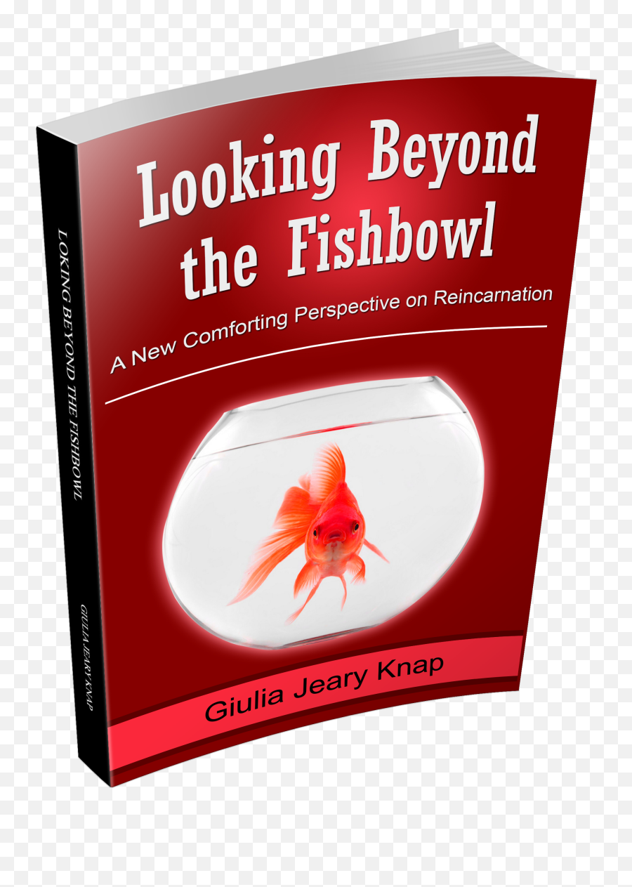 An Extract From Looking Beyond The Fishbowl A New - Parasitism Png,Fishbowl Png