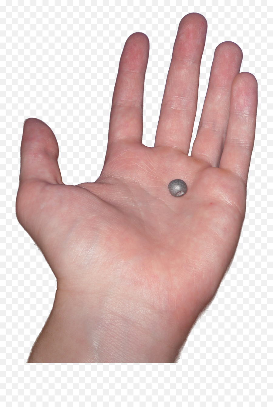 Hand - Hand Held Out Png,Open Hand Png