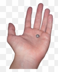 Hand - Hand Held Out Png,Open Hand Png