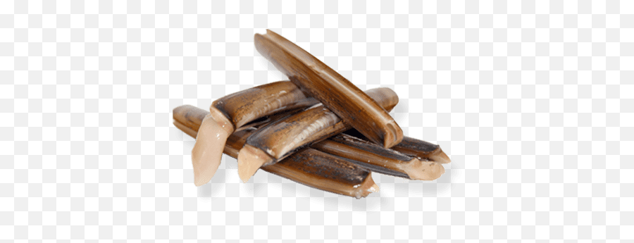 Razor Clam U2013 Isola Fish - Solid Png,Clam Png