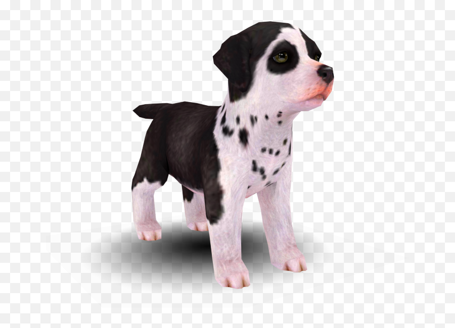 3ds - Nintendogs Models Resource Png,Dalmatian Png