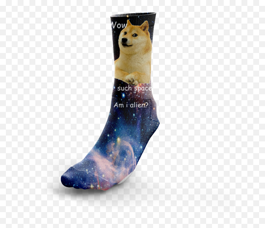 Download Hd Image Of Doge In Space - Copenhagen Doges Soft Png,Doge Transparent