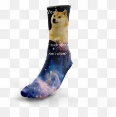 Download Hd Image Of Doge In Space - Copenhagen Doges Soft png