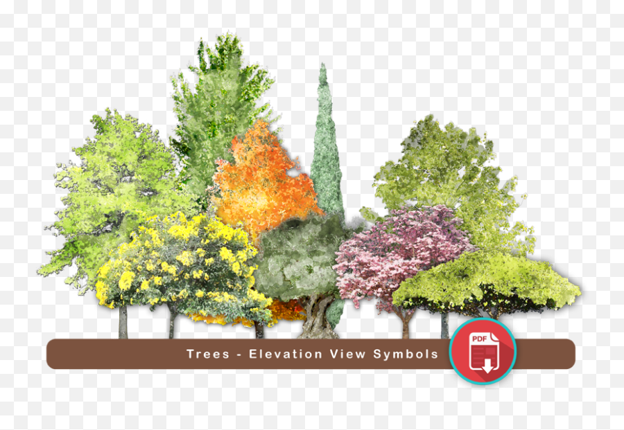 Treesvol01 - Super Landscaping Plan Software Red Pine Png,Tree Elevation Png