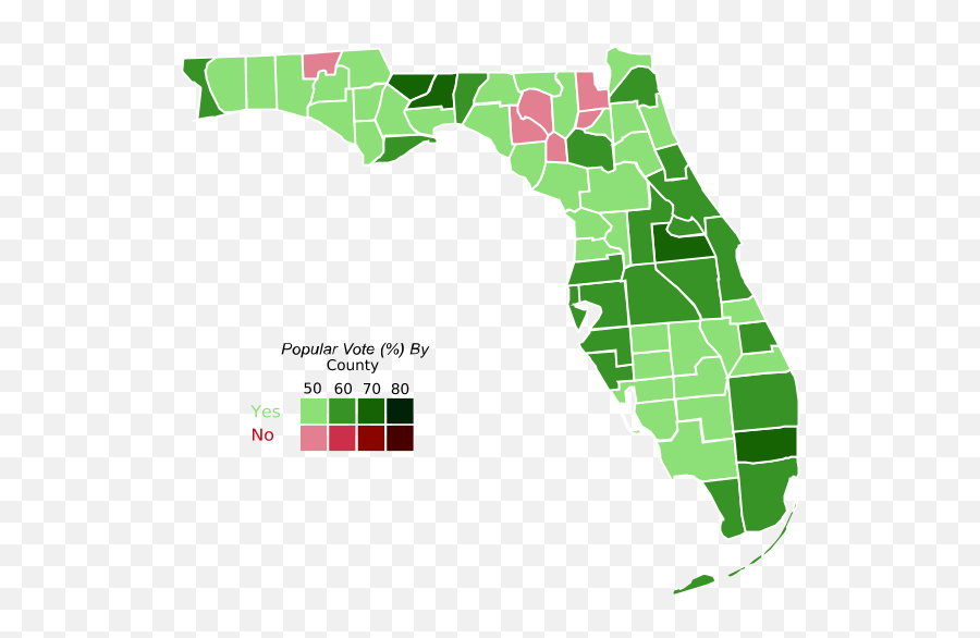 Florida Constitutional Amendment 4 - Vertical Png,Amendment Icon