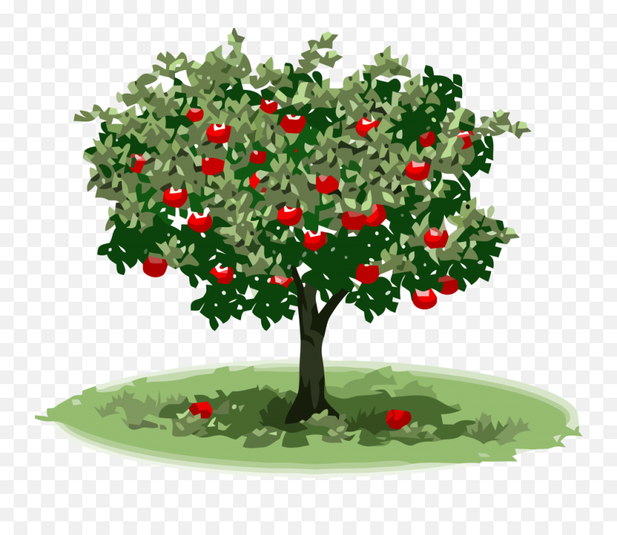 Apple Tree Big Clipart Png - Elma Aac Resmi,Big Tree Png