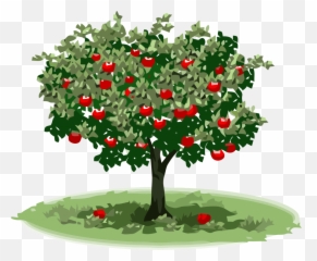 Apple Tree Big Clipart Png - Elma Aac Resmi,Big Tree Png