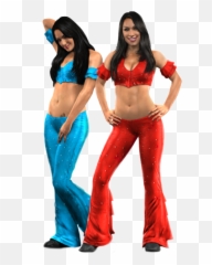 Brie Bella - Wwe 2010 Bella Twins Png,Nikki Bella Png