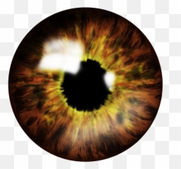 Eyes Png Images Free Download - Brown