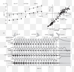 A Changes In Wing Stroke Plane Spa Loc And Body Pitch - Diagram png